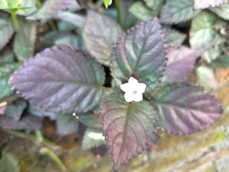 Similar image 22498907