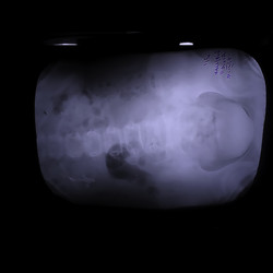 Similar image 22502436