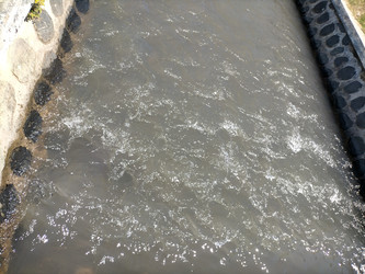 Similar image 22498921