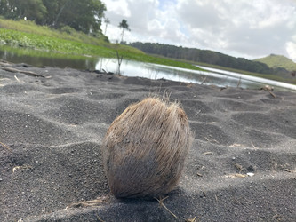 Similar image 22498936