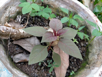 Similar image 22498951