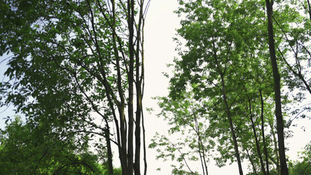 Similar image 22502764