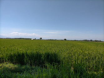 Similar image 22501342