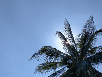 Similar image 22503962