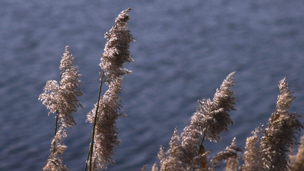 Similar image 22502974