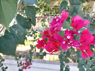 Similar image 22532586