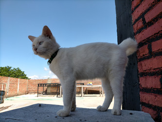 Similar image 22532628