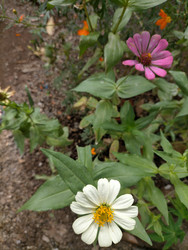 Similar image 22532629