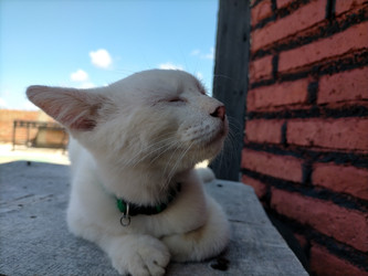 Similar image 22532670