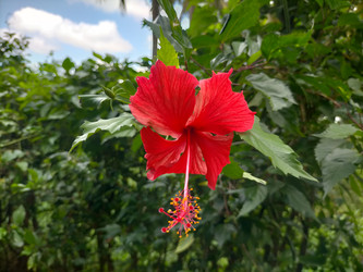 Similar image 22532759