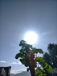 Similar image 22532781