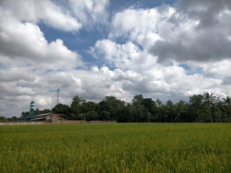 Similar image 22532804