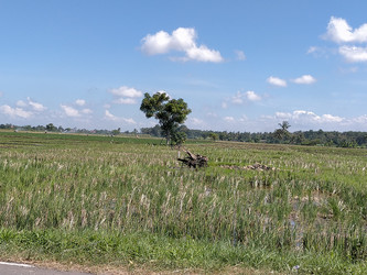 Similar image 22532805