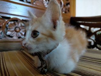 Similar image 22532897