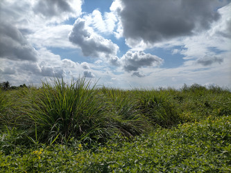 Similar image 22532898