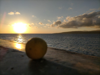 Similar image 22532919