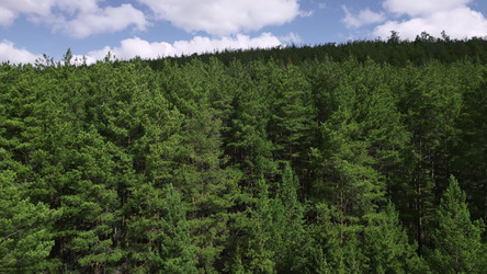 Similar image 22503150