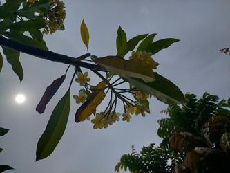 Similar image 22532986