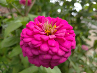 Similar image 22533010