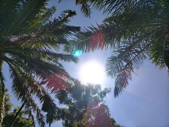 Similar image 22533031