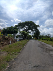 Similar image 22533055