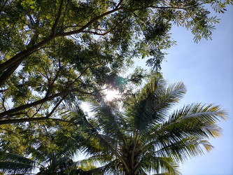 Similar image 22533120