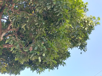 Similar image 22533165