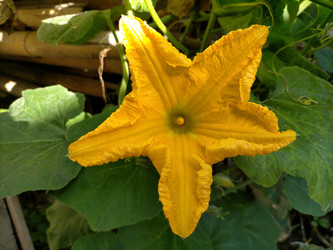 Similar image 22533211