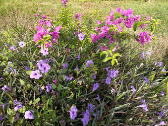 Similar image 22533213