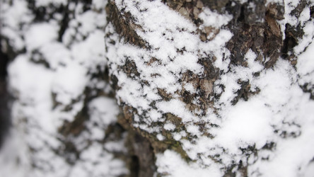 Similar image 22503362