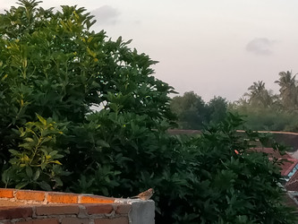 Similar image 22536086