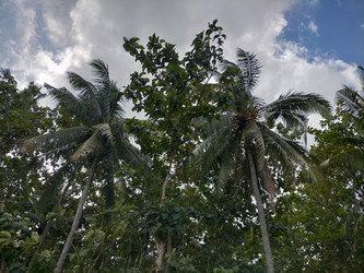 Similar image 22536100