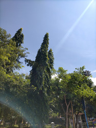 Similar image 22536131