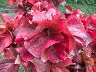 Similar image 22536191