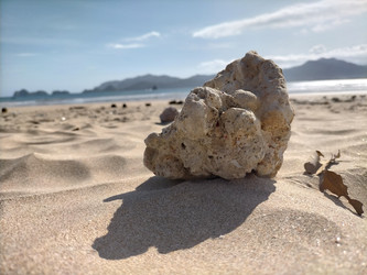 Similar image 22536207