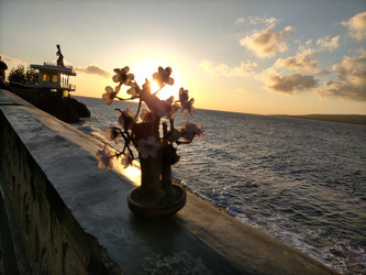 Similar image 22536221