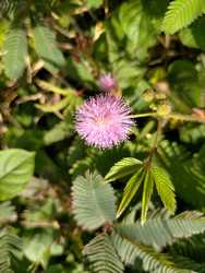 Similar image 22536294