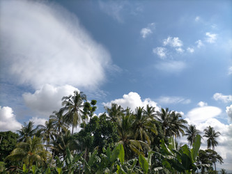 Similar image 22536324