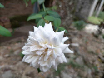 Similar image 22536340