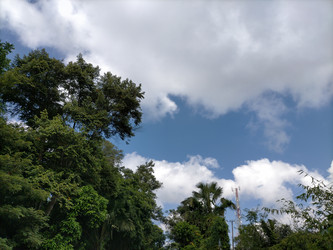 Similar image 22536355