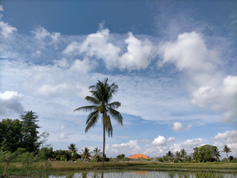 Similar image 22536369