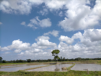 Similar image 22536399