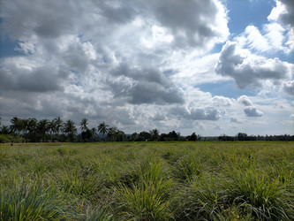 Similar image 22536415