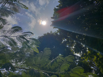 Similar image 22536429