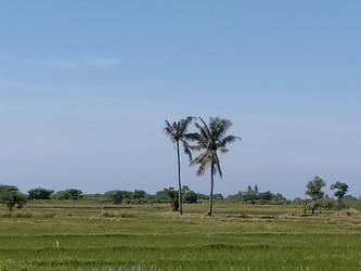 Similar image 22536445