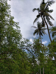 Similar image 22536459