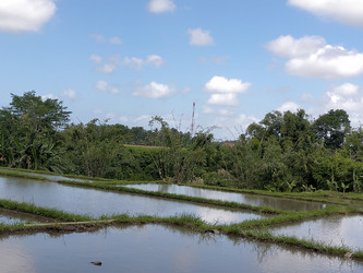 Similar image 22536519