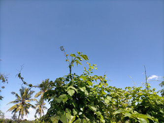 Similar image 22536535