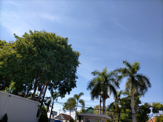 Similar image 22536549