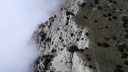 Similar image 22502076